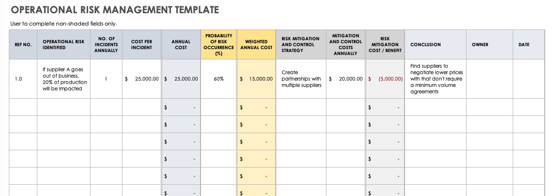 Operational Risk Management Template