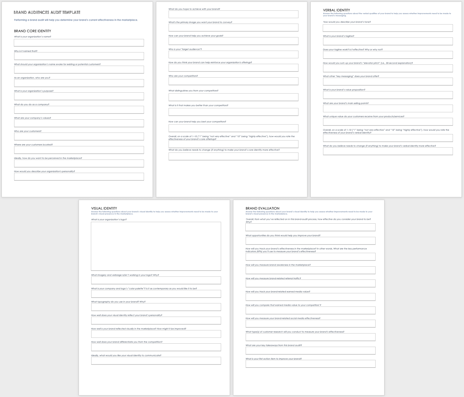 Brand Audiences Audit Template