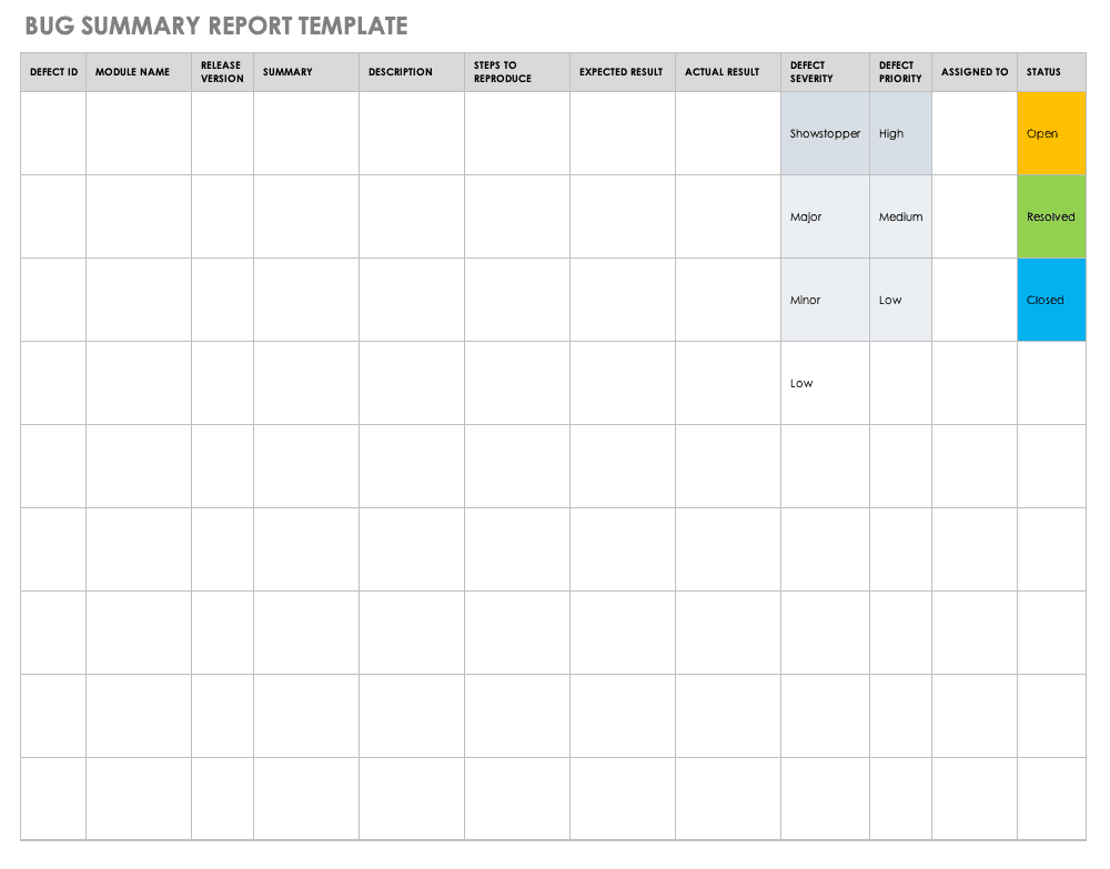 Bug Summary Report Template